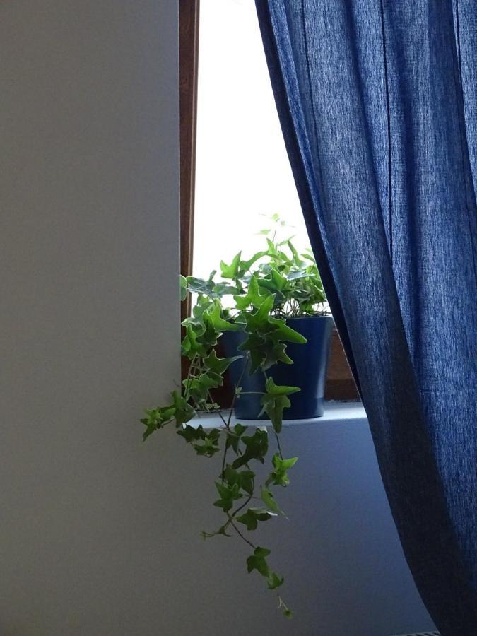 Blue Apartment Belgrad Zewnętrze zdjęcie